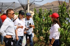 «Инновации в саду – урожай уже в первый год»
03 июня 2019г., Армения
Advice&Consulting